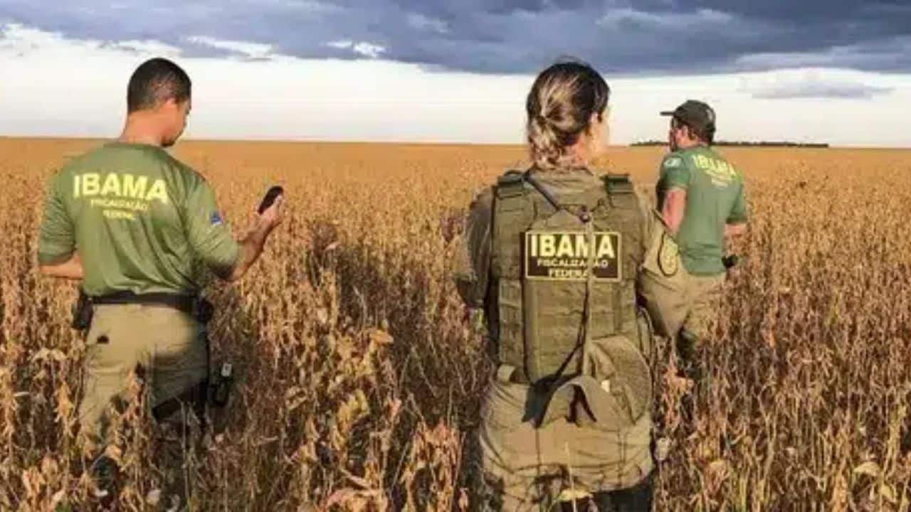 Curso Ibama Curso Ibama