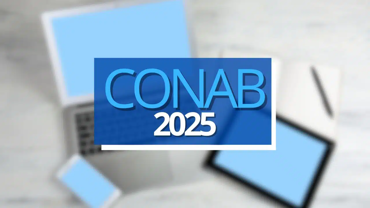 Concurso Conab 2025