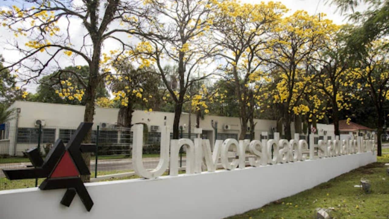 Processo seletivo UEM Processo seletivo UEM