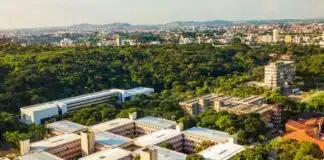 Cursos gratuitos 100% online do IFMG