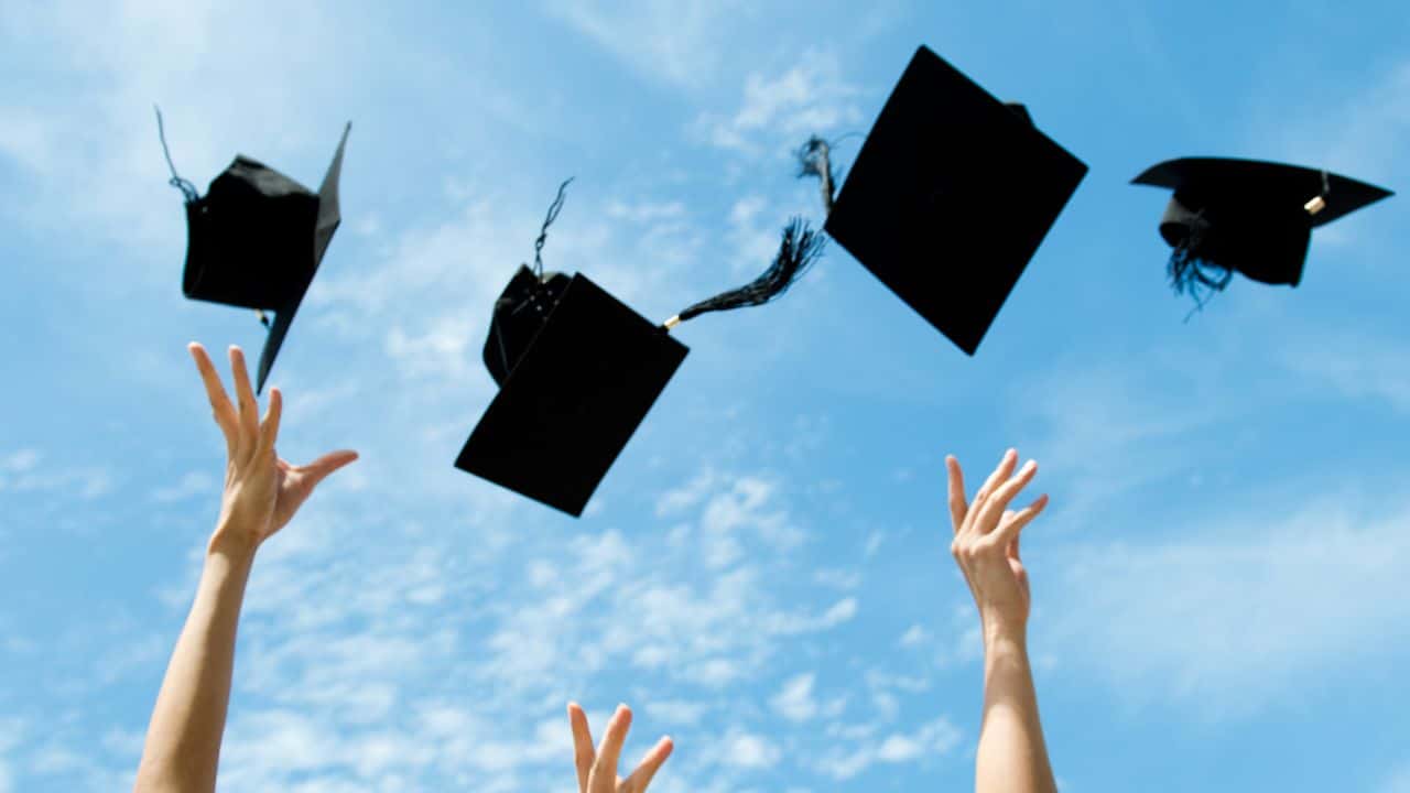 bolsas em cursos de graduação
