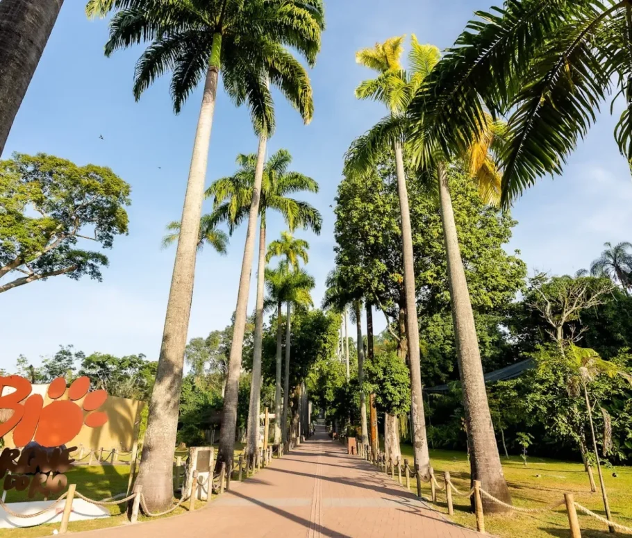 Grupo Cataratas abre inscrições para trainee 2026 com processo às cegas - Imagem do artigo